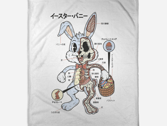 Easter Bunny Anatomy