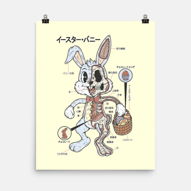 Easter Bunny Anatomy-None-Matte-Poster-Firebrander