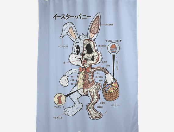 Easter Bunny Anatomy