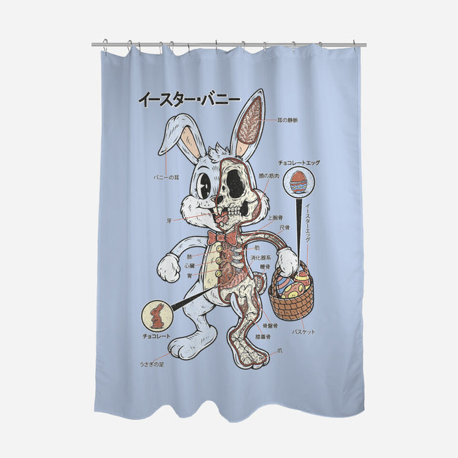 Easter Bunny Anatomy-None-Polyester-Shower Curtain-Firebrander