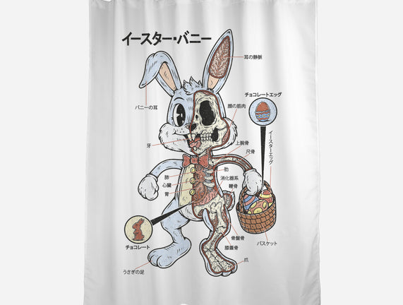 Easter Bunny Anatomy