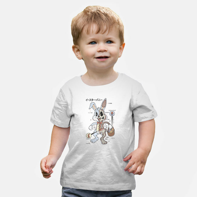 Easter Bunny Anatomy-Baby-Basic-Tee-Firebrander