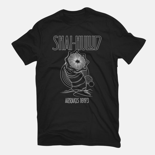 Kashmir-Womens-Basic-Tee-CappO