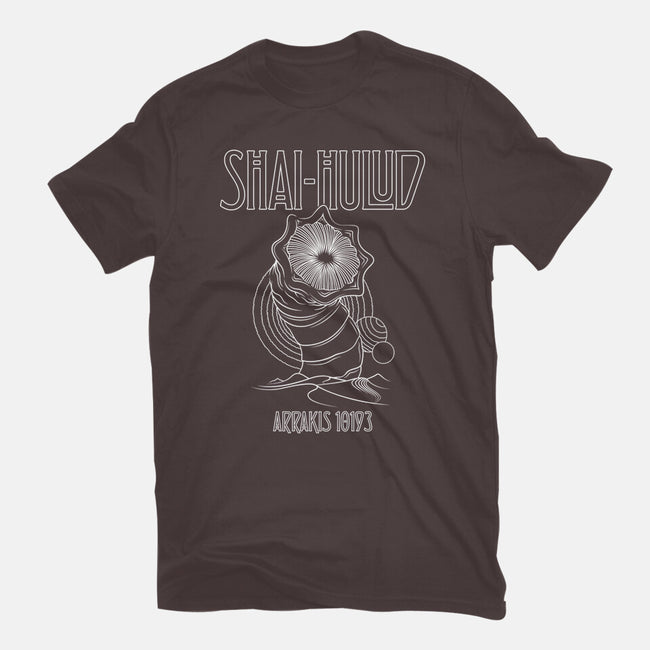 Kashmir-Womens-Basic-Tee-CappO