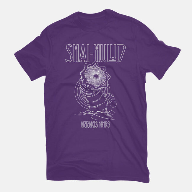 Kashmir-Womens-Basic-Tee-CappO