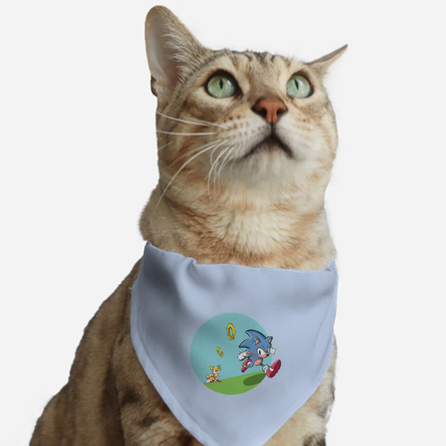 I Need To Run-Cat-Adjustable-Pet Collar-nickzzarto