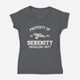 Property Of Serenity-Womens-V-Neck-Tee-Melonseta