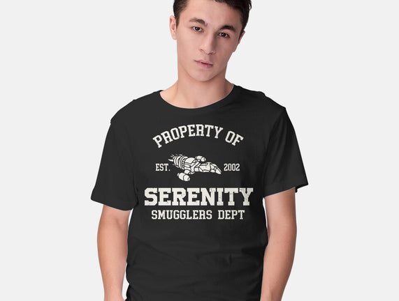 Property Of Serenity