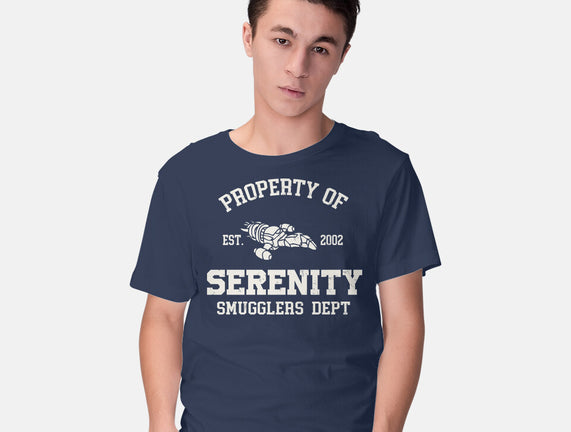 Property Of Serenity