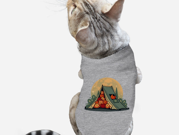 Cat Camping