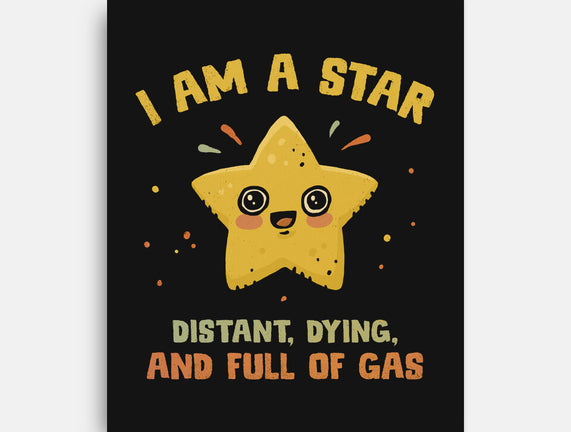 I Am A Star