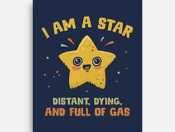 I Am A Star