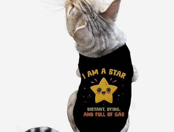 I Am A Star