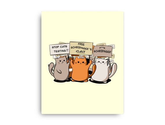 Cats Protest