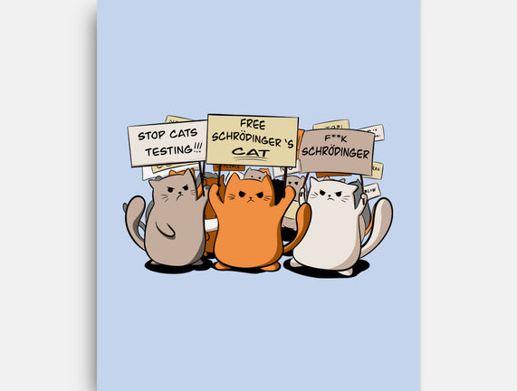 Cats Protest