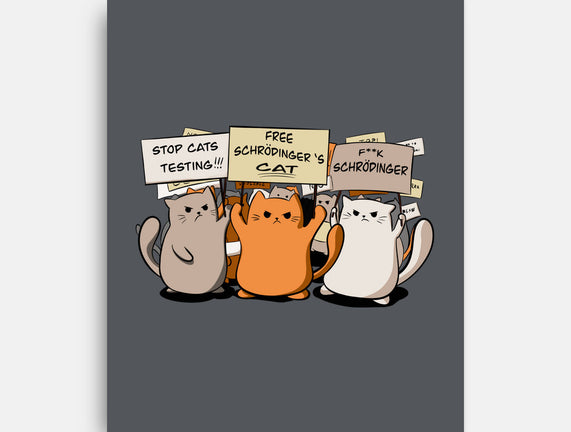 Cats Protest