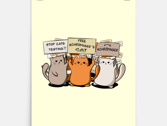 Cats Protest