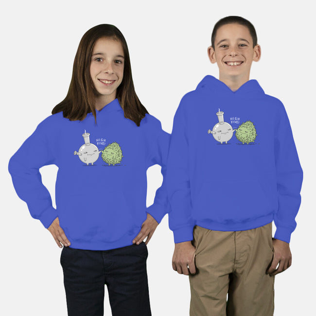 High Five Bud-Youth-Pullover-Sweatshirt-pigboom