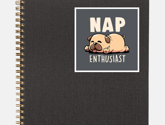 Nap Enthusiast