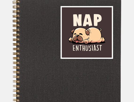 Nap Enthusiast