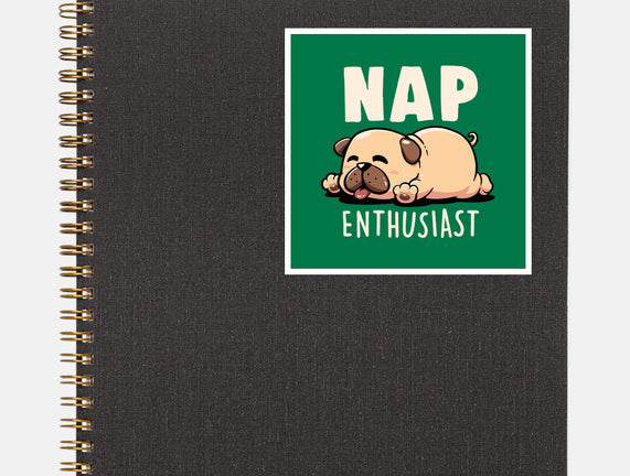 Nap Enthusiast