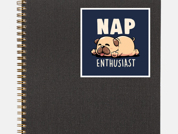 Nap Enthusiast