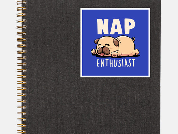 Nap Enthusiast