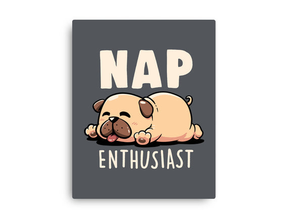 Nap Enthusiast