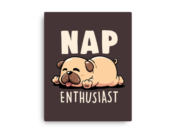 Nap Enthusiast