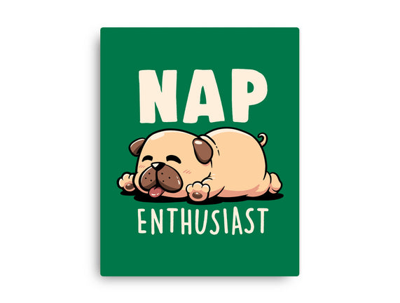 Nap Enthusiast