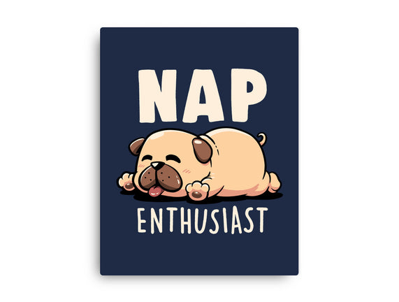 Nap Enthusiast