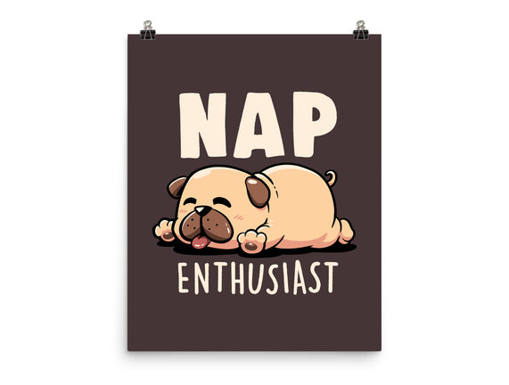 Nap Enthusiast