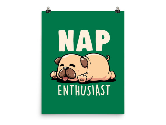 Nap Enthusiast