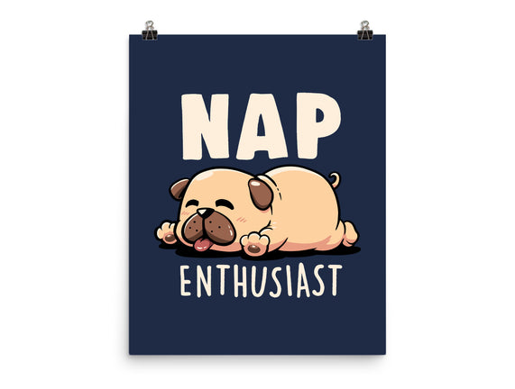 Nap Enthusiast