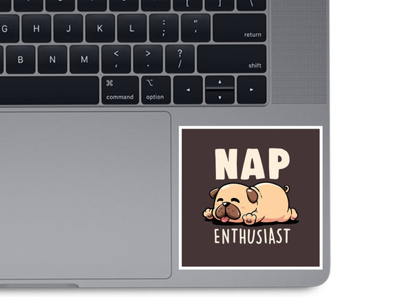 Nap Enthusiast