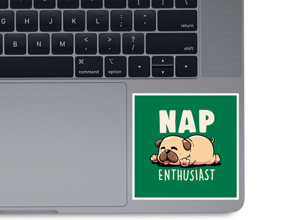 Nap Enthusiast