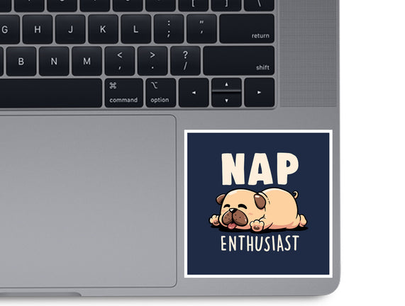 Nap Enthusiast