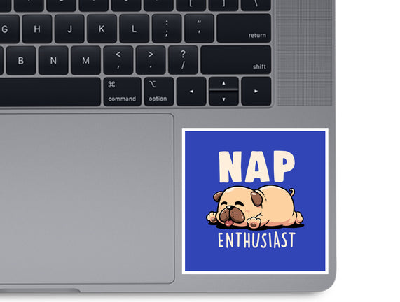 Nap Enthusiast