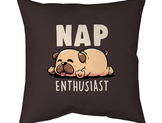 Nap Enthusiast