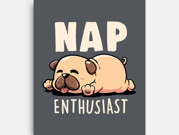 Nap Enthusiast