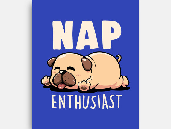 Nap Enthusiast