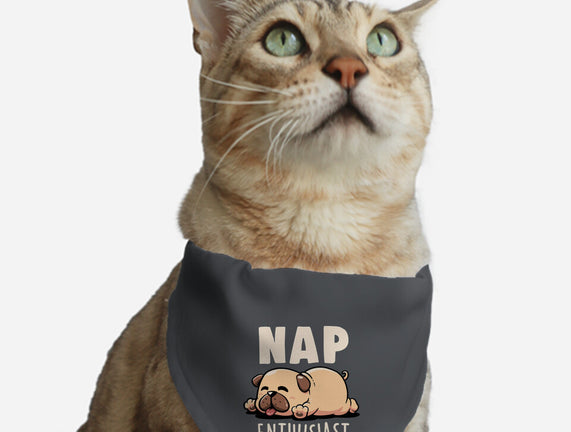 Nap Enthusiast