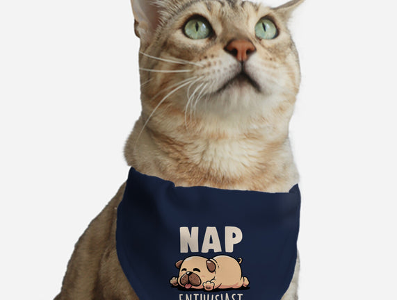 Nap Enthusiast