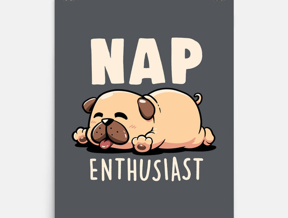 Nap Enthusiast