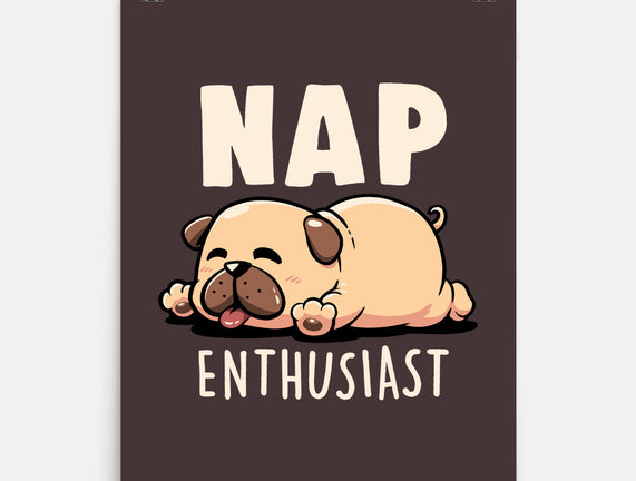 Nap Enthusiast