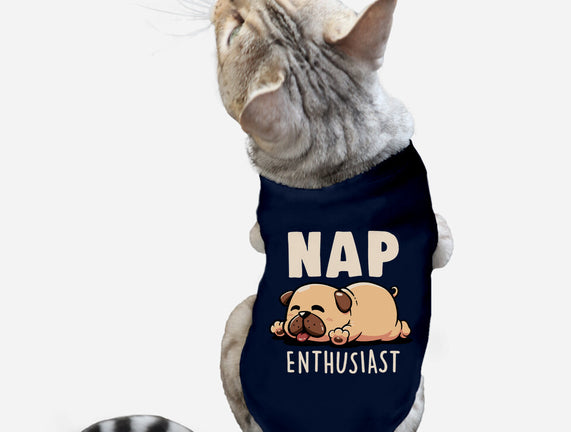 Nap Enthusiast