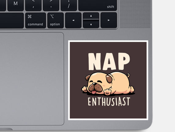 Nap Enthusiast