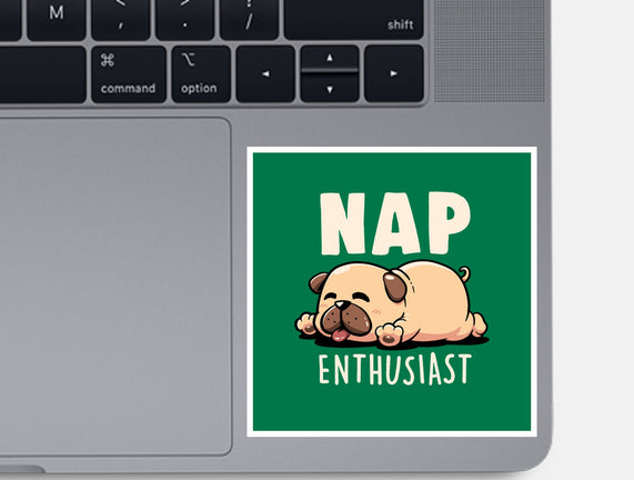 Nap Enthusiast