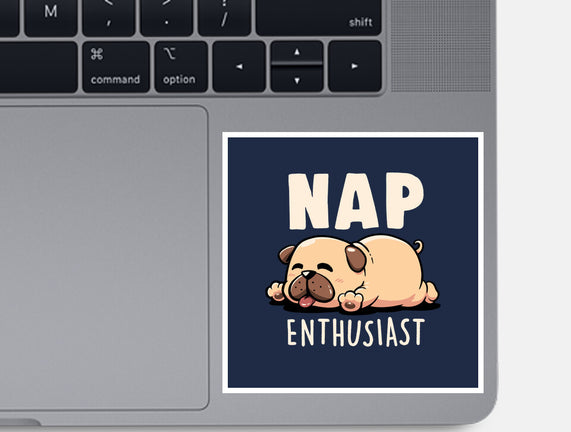 Nap Enthusiast