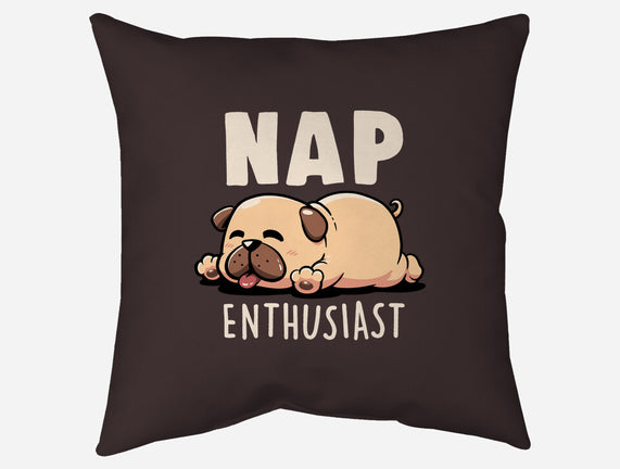 Nap Enthusiast